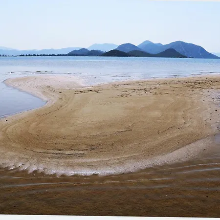 Sandy Beach Rogotin